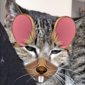 Meet your Posher, Jacinta